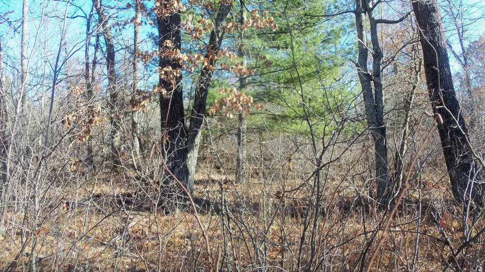 Lot 2 Ferry Rd Grantsburg, WI 54840