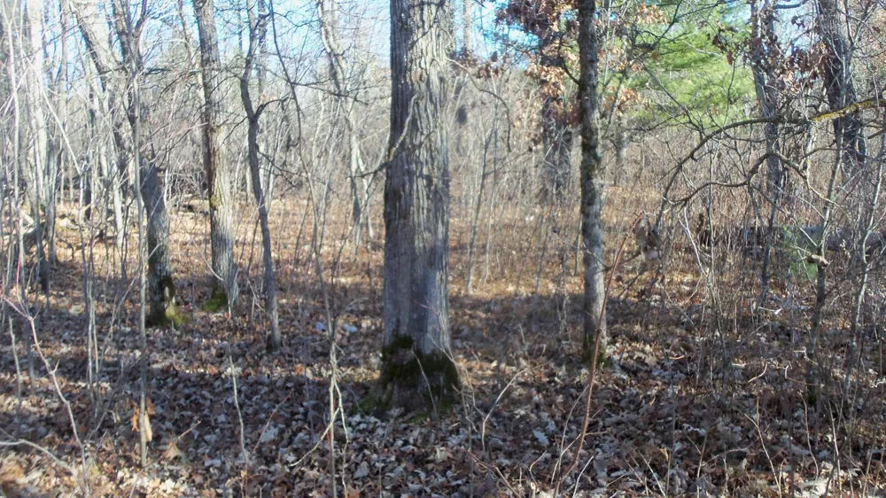 Lot 2 Ferry Rd Grantsburg, WI 54840