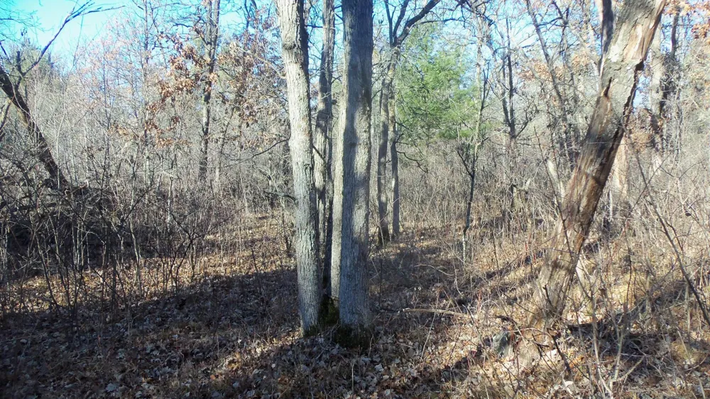 Lot 3 Ferry Rd Grantsburg, WI 54840