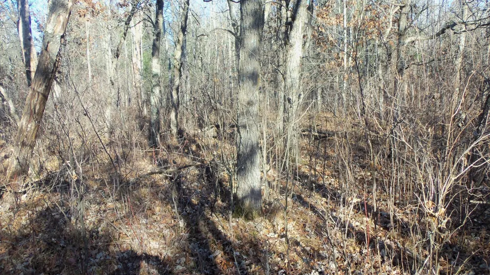 Lot 3 Ferry Rd Grantsburg, WI 54840