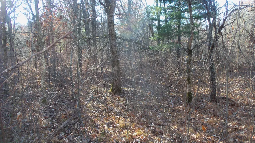 Lot 3 Ferry Rd Grantsburg, WI 54840