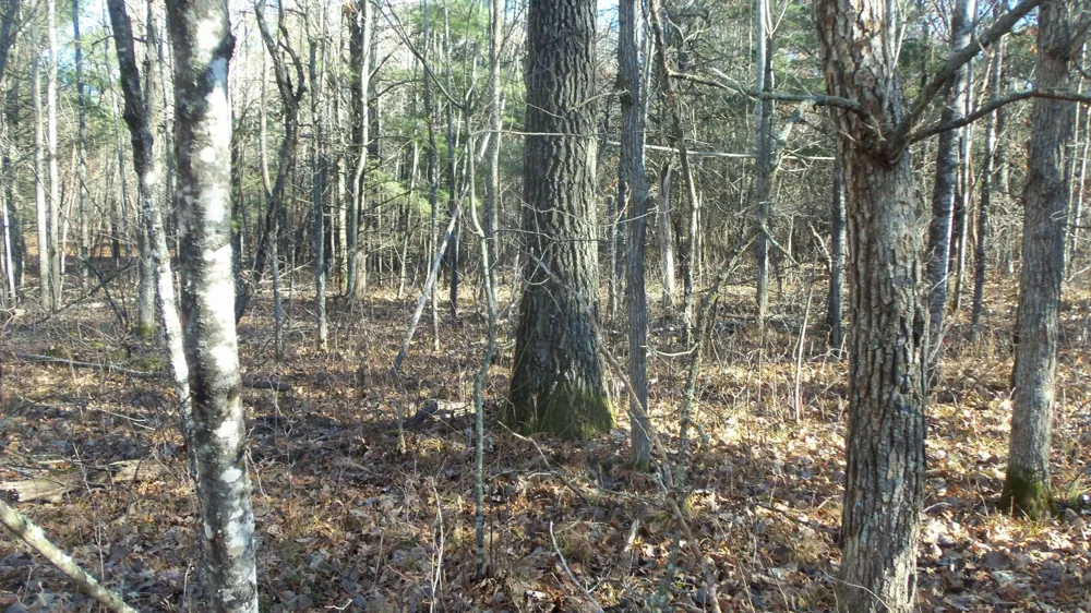 Lot 3 Ferry Rd Grantsburg, WI 54840