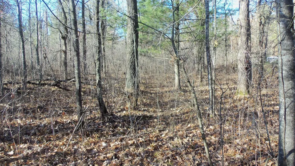 Lot 3 Ferry Rd Grantsburg, WI 54840