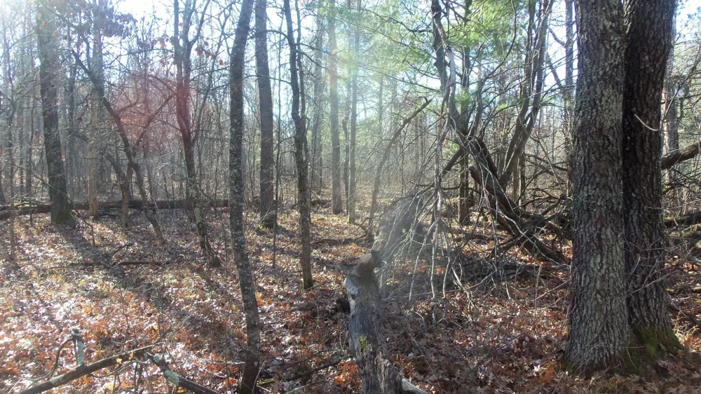 Lot 3 Ferry Rd Grantsburg, WI 54840