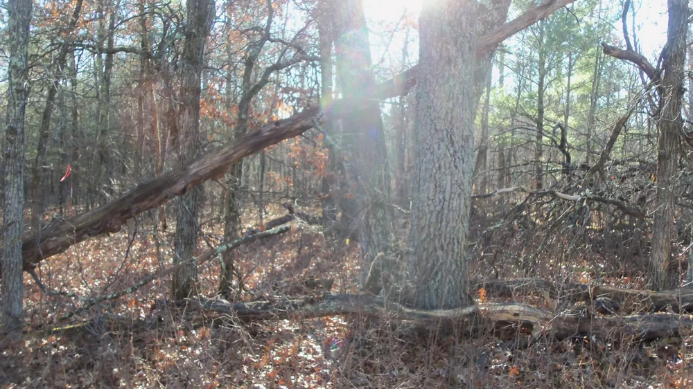 Lot 3 Ferry Rd Grantsburg, WI 54840