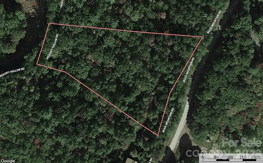 TBD Buck Mountain Road #96 Purlear, NC 28665
