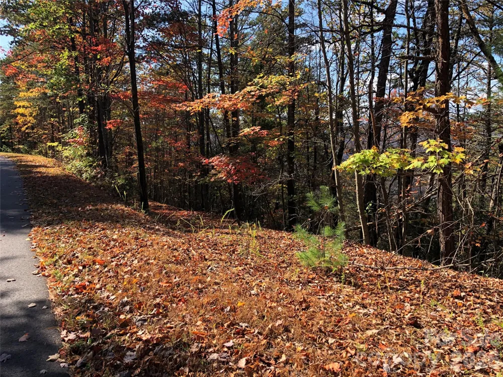 TBD Buck Mountain Road #96 Purlear, NC 28665
