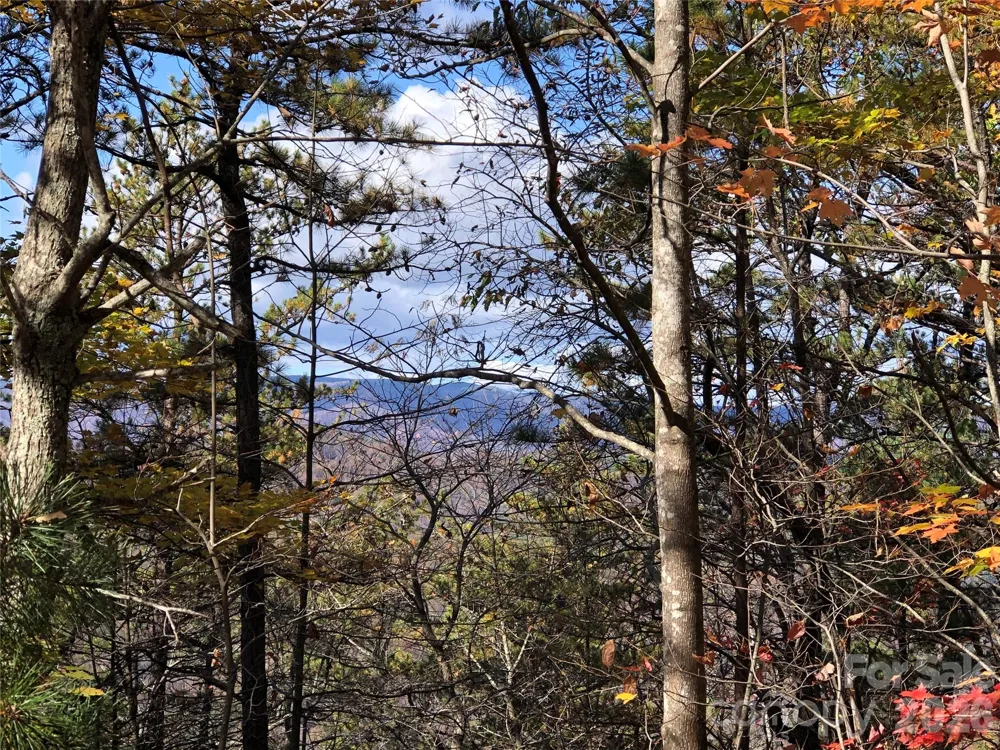 TBD Buck Mountain Road #96 Purlear, NC 28665