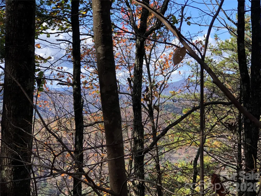 TBD Buck Mountain Road #96 Purlear, NC 28665
