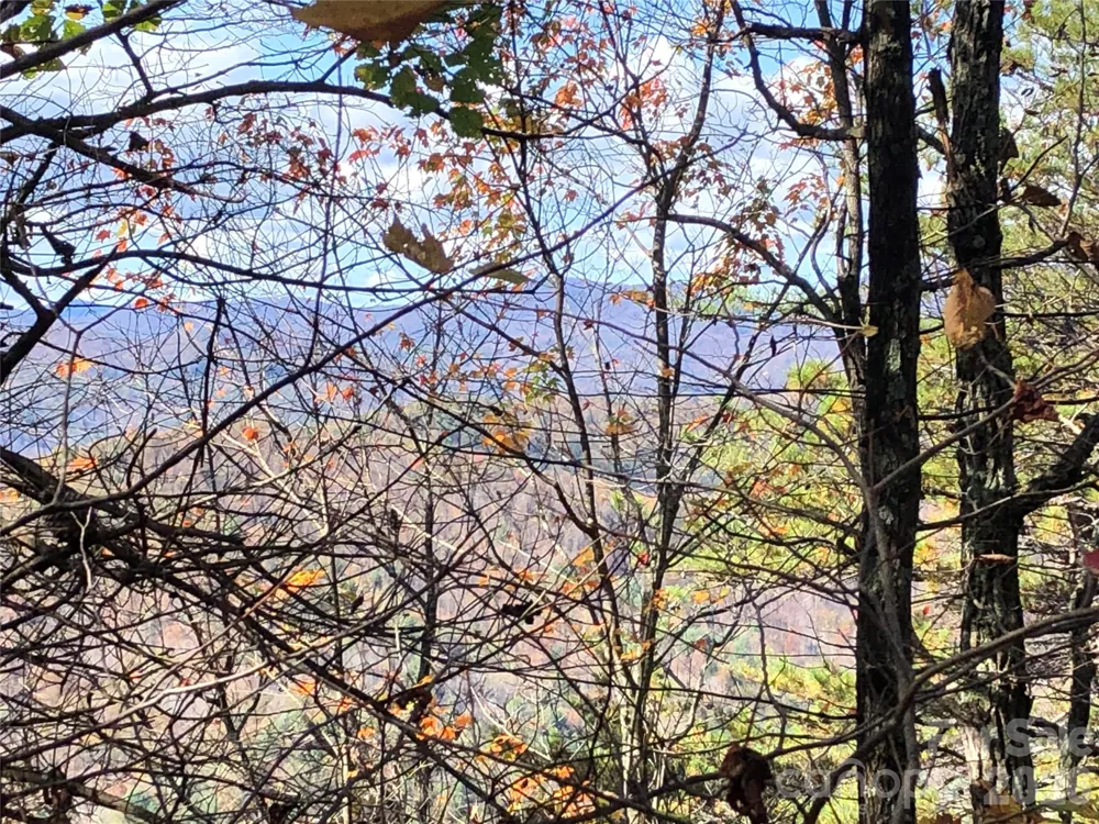 TBD Buck Mountain Road #96 Purlear, NC 28665