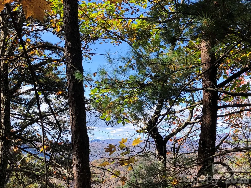 TBD Buck Mountain Road #96 Purlear, NC 28665