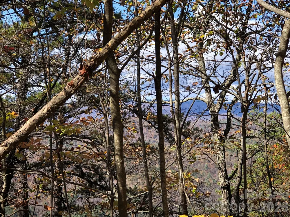 TBD Buck Mountain Road #96 Purlear, NC 28665