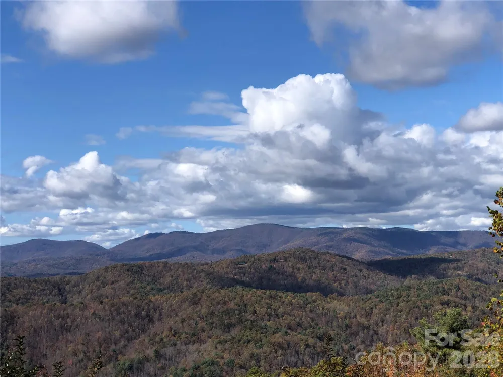 TBD Buck Mountain Road #96 Purlear, NC 28665
