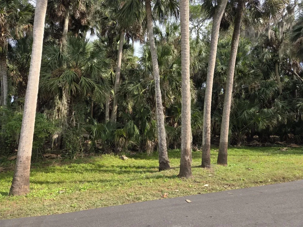 447 WARRIOR TRAIL Deltona, FL 32725