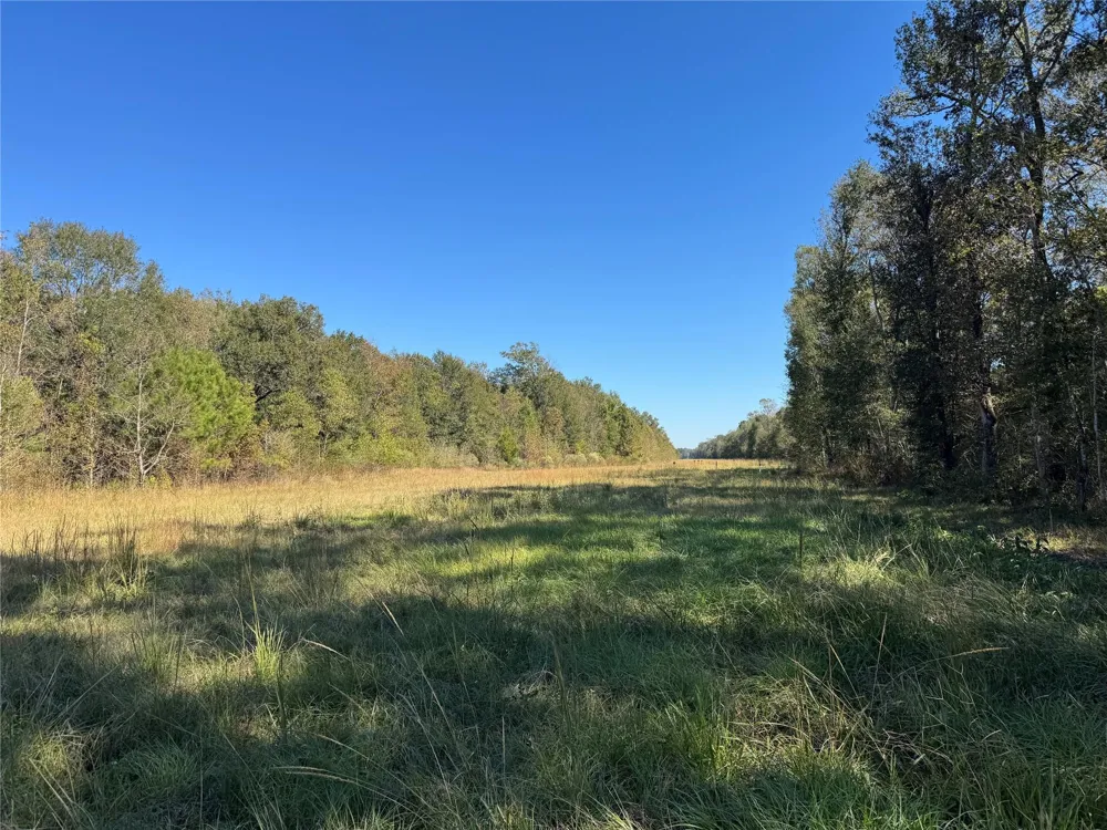 County Road 401 Dayton, TX 77535