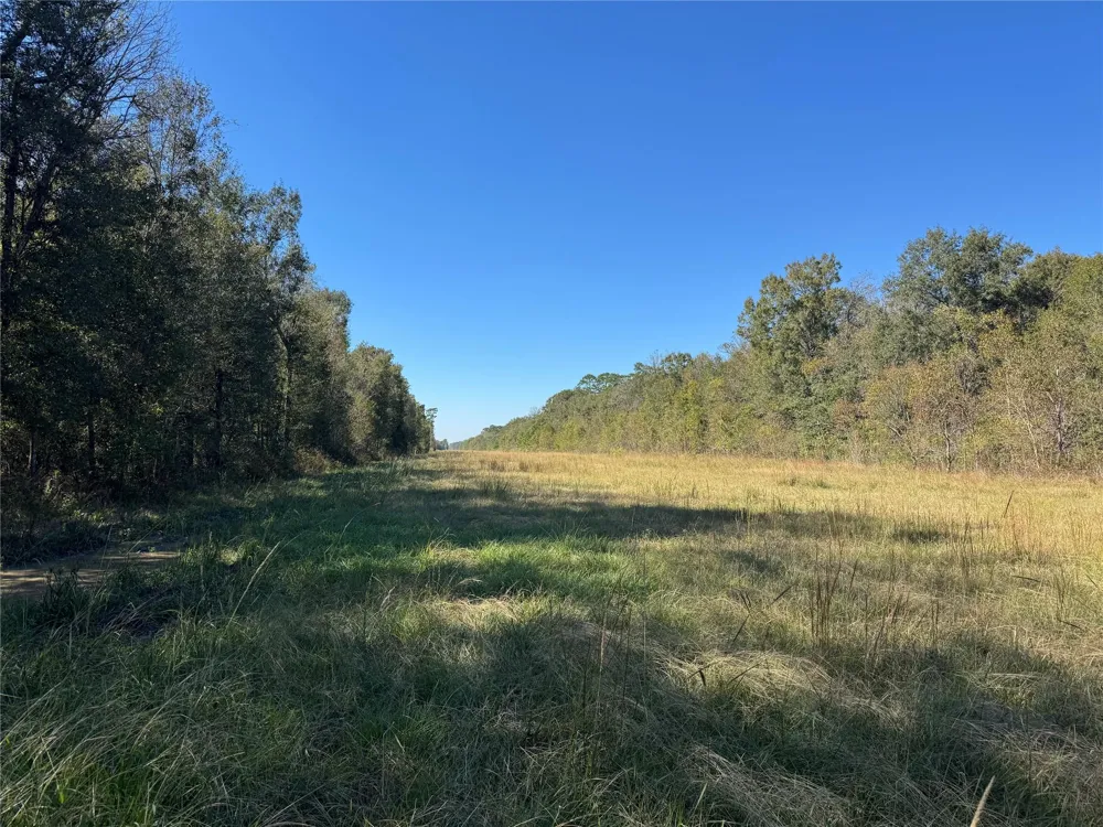 County Road 401 Dayton, TX 77535