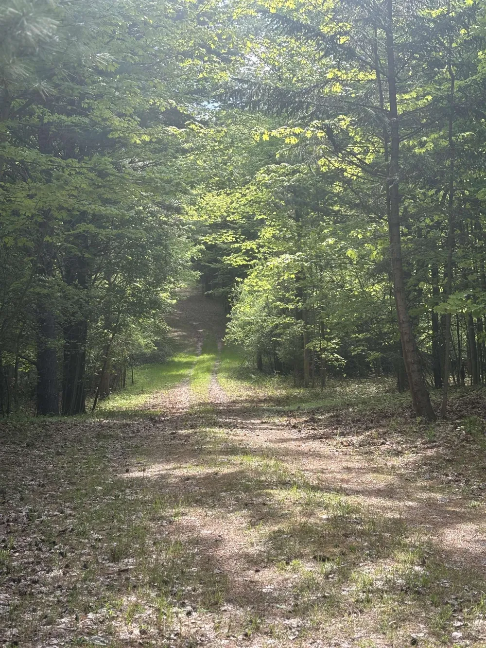 US-31 Torch Lake Township, MI 49648