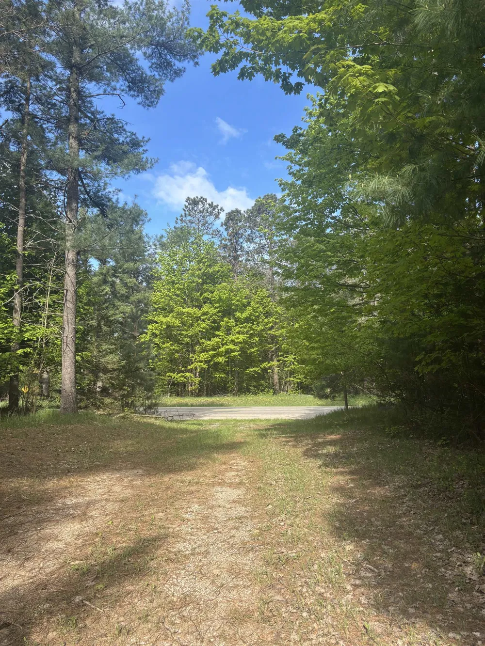 US-31 Torch Lake Township, MI 49648