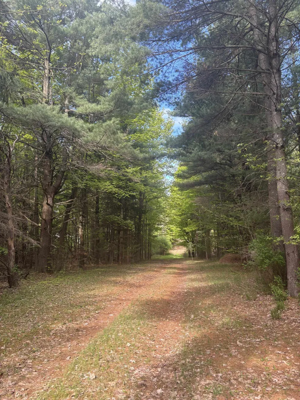 US-31 Torch Lake Township, MI 49648
