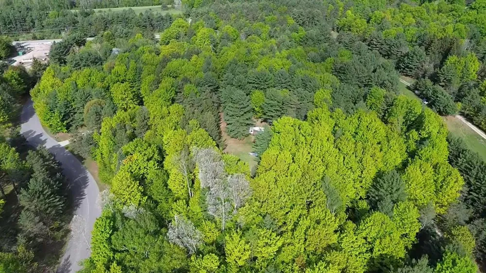 US-31 Torch Lake Township, MI 49648