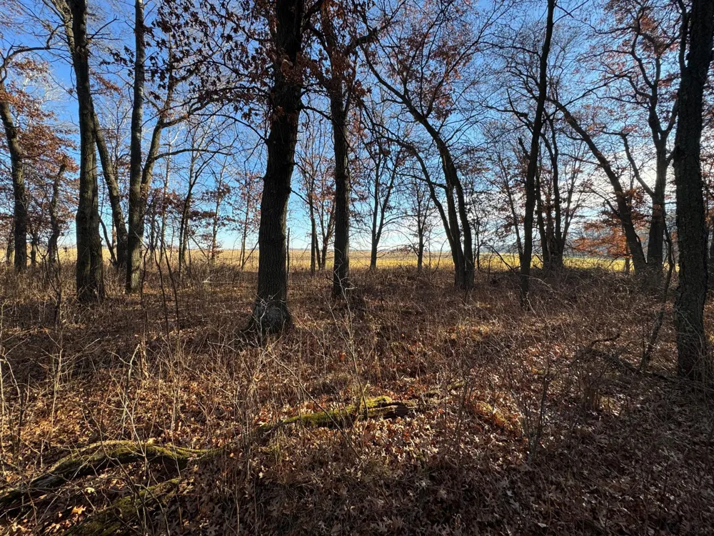 26XXX 175th Ave Fort Ripley, MN 56449