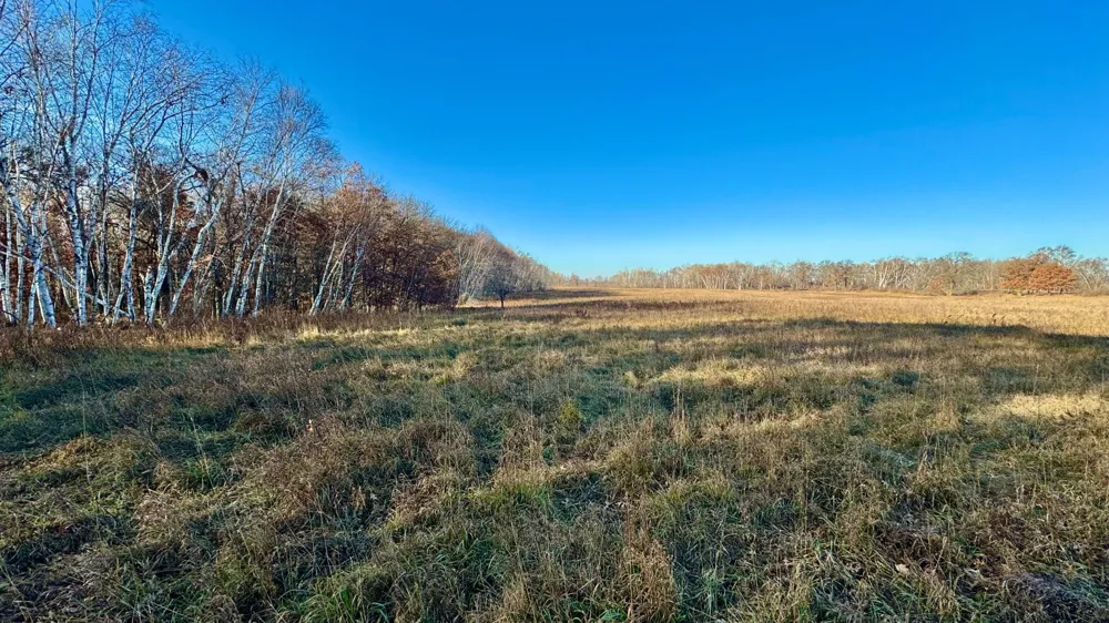 26XXX 175th Ave Fort Ripley, MN 56449