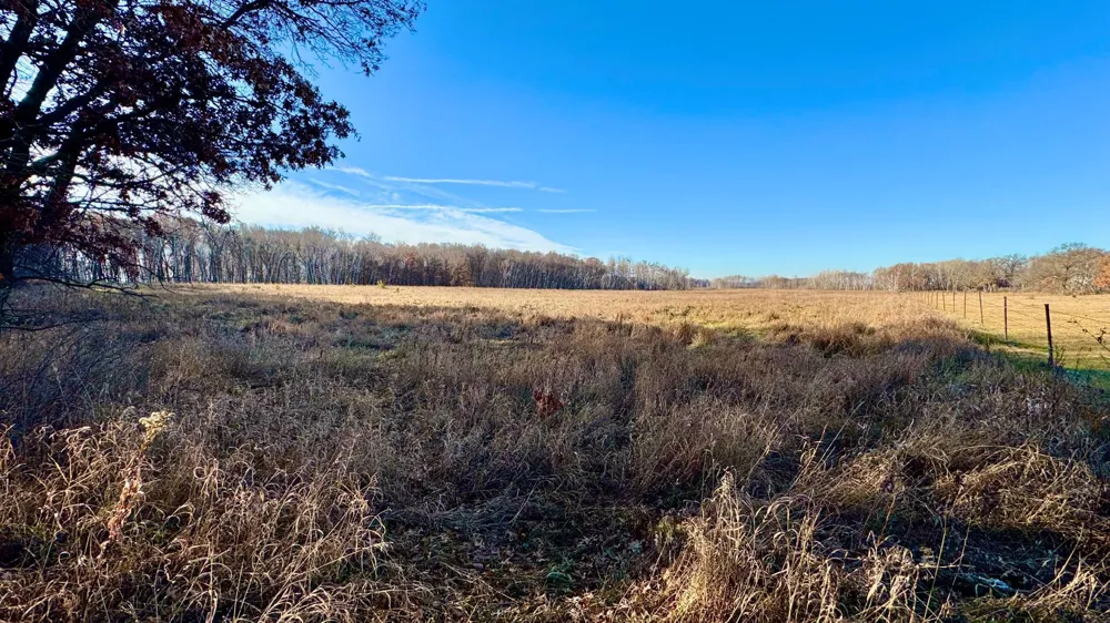 26XXX 175th Ave Fort Ripley, MN 56449