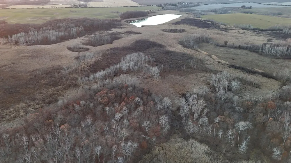 26XXX 175th Ave Fort Ripley, MN 56449