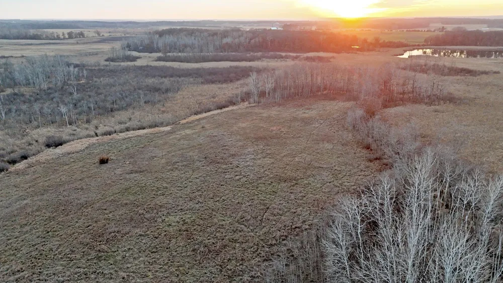 26XXX 175th Ave Fort Ripley, MN 56449