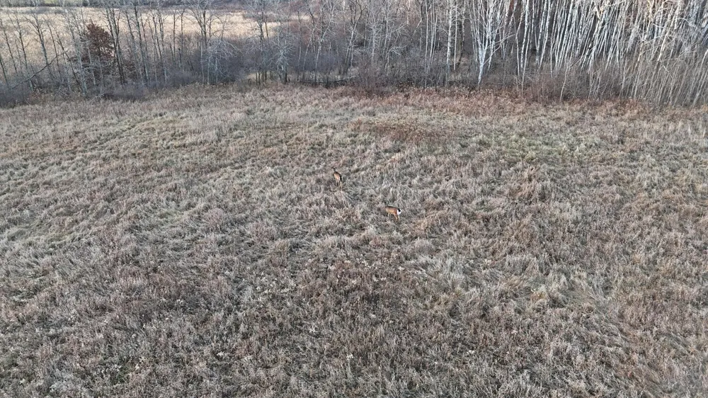 26XXX 175th Ave Fort Ripley, MN 56449