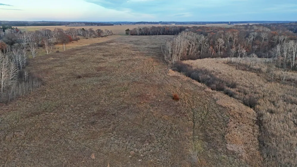 26XXX 175th Ave Fort Ripley, MN 56449