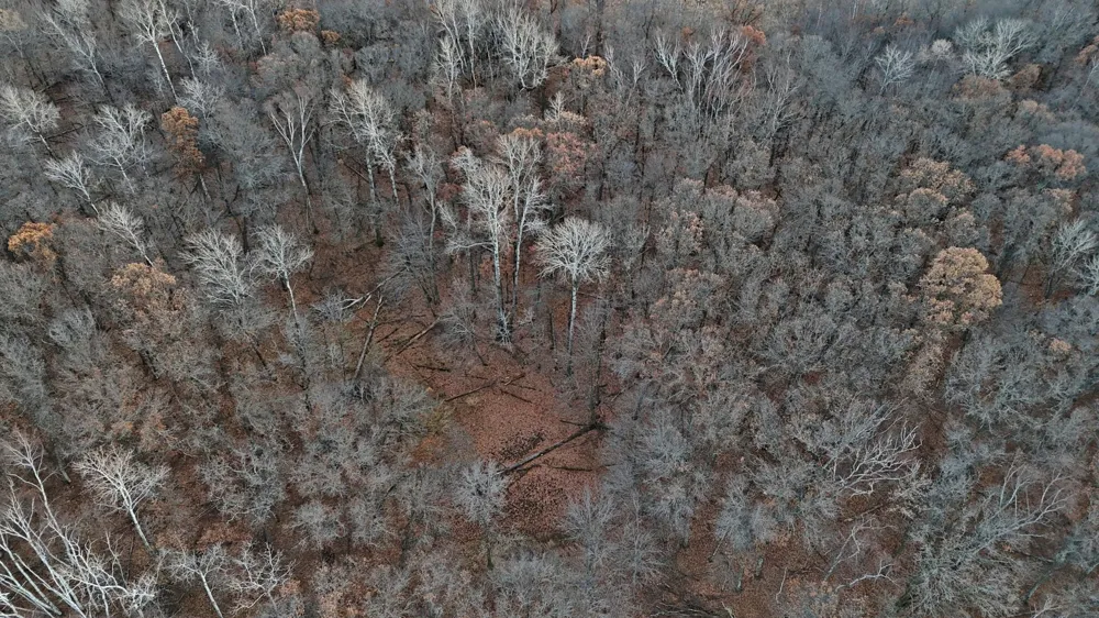 26XXX 175th Ave Fort Ripley, MN 56449