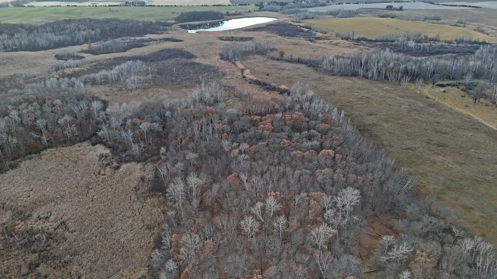 26XXX 175th Ave Fort Ripley, MN 56449