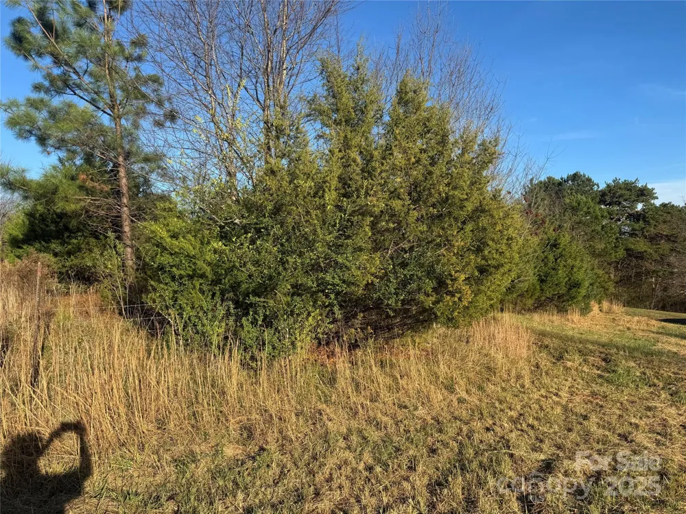 0 Bradley Road Gaffney, SC 29341