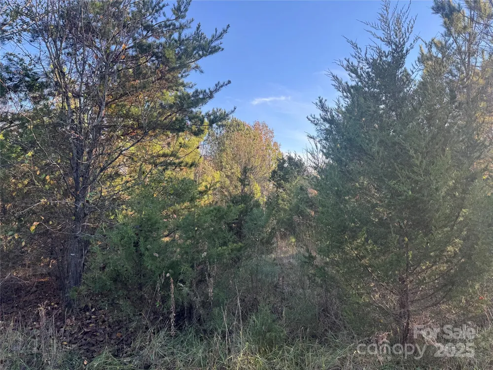 0 Bradley Road Gaffney, SC 29341