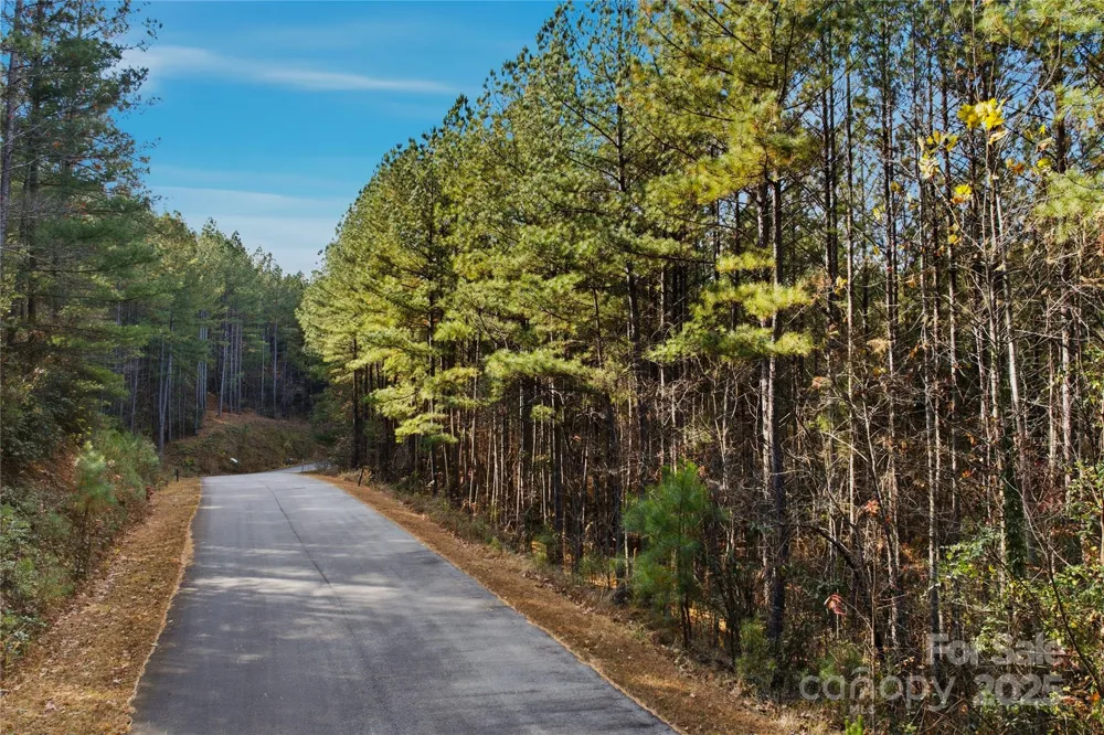 161 W Settings Boulevard NW Valdese, NC 28690