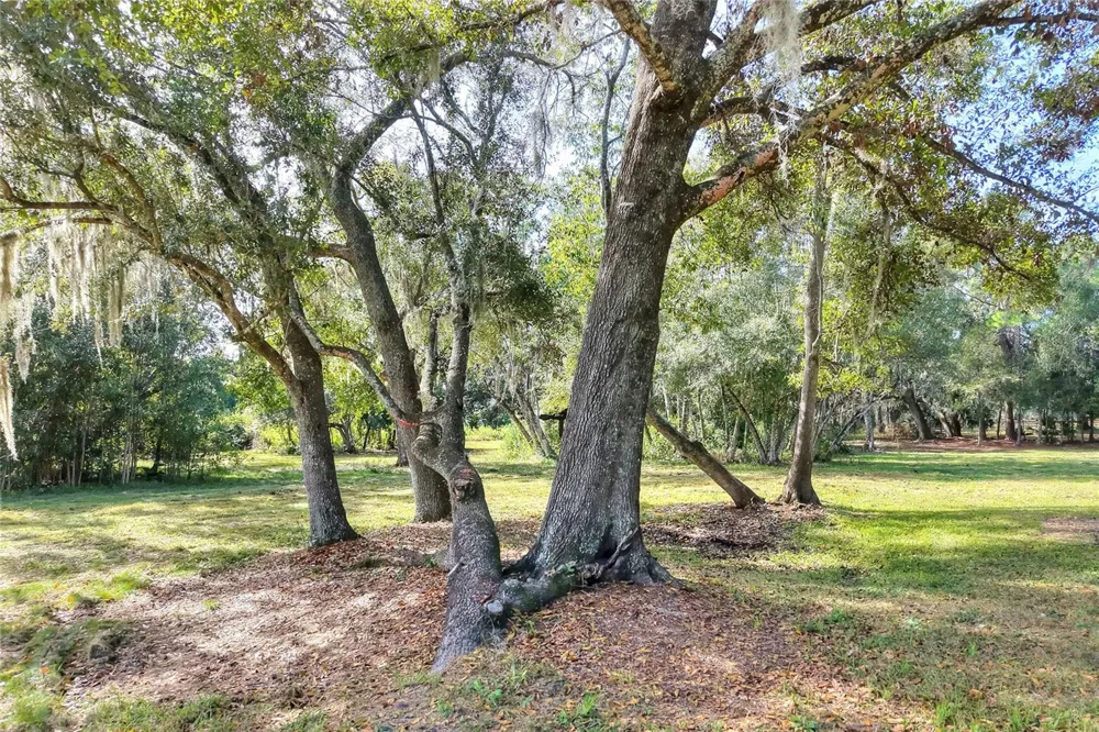 ISLAND WAY Winter Haven, FL 33884