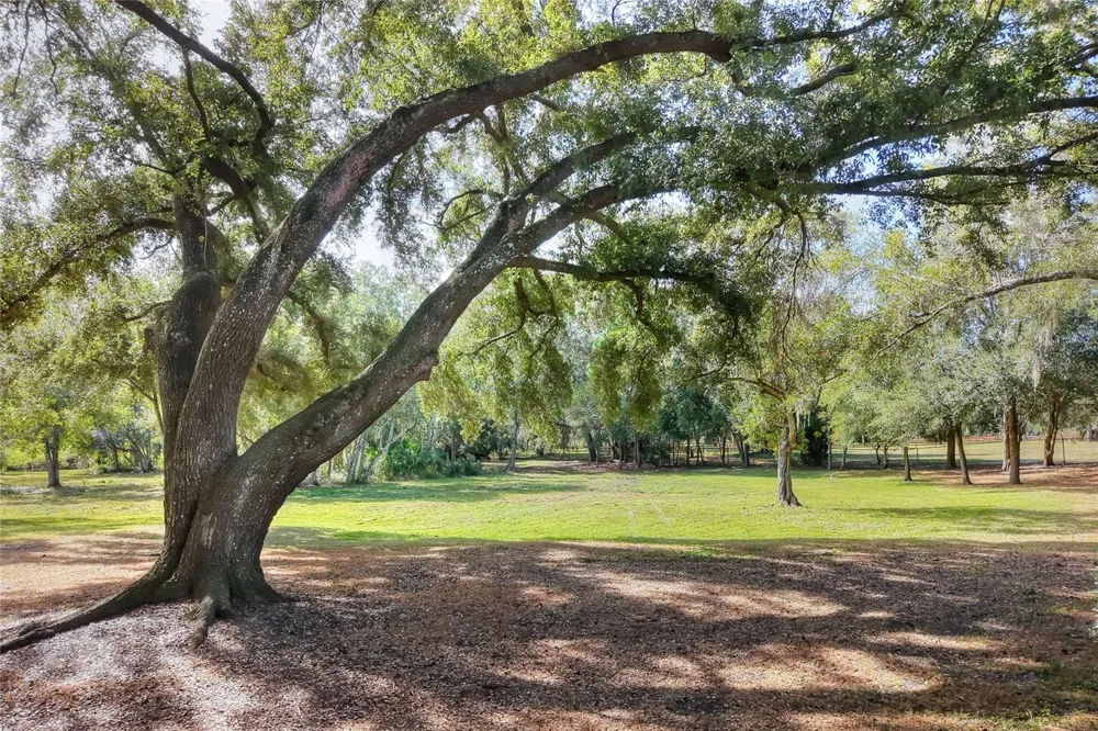 ISLAND WAY Winter Haven, FL 33884