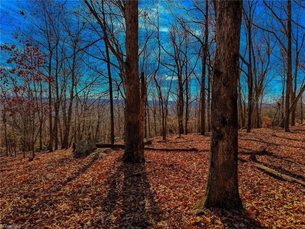 1644 Sierra Trace Road Denton, NC 27239