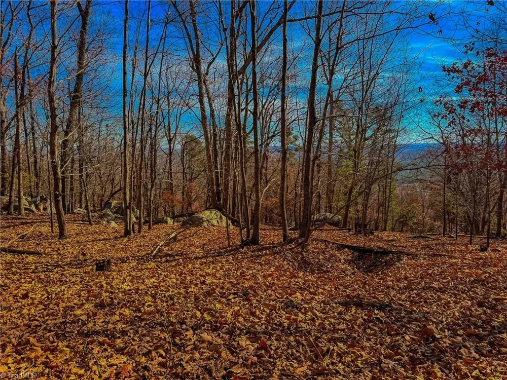 1644 Sierra Trace Road Denton, NC 27239