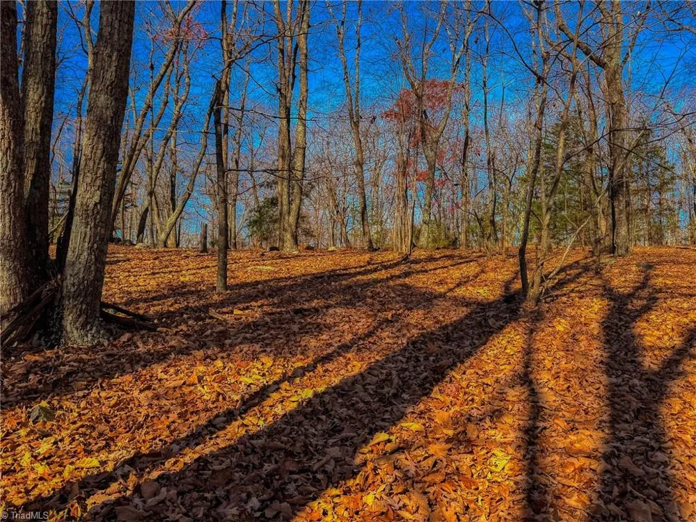 1644 Sierra Trace Road Denton, NC 27239