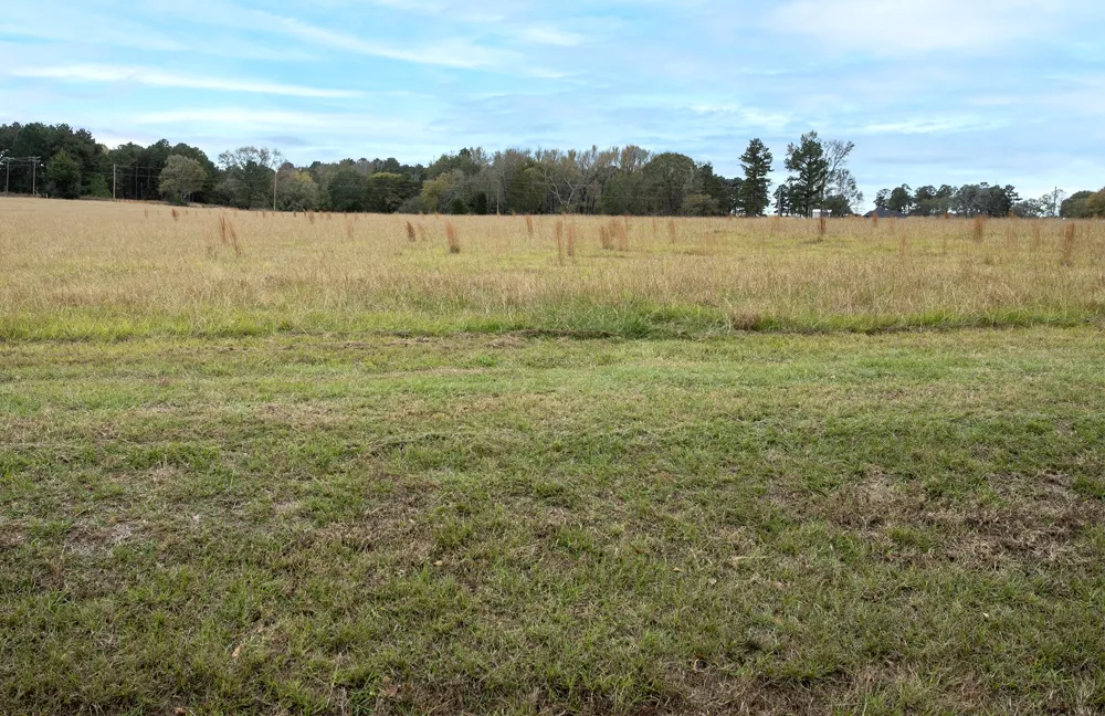 FM 1892 Frankston, TX 75763