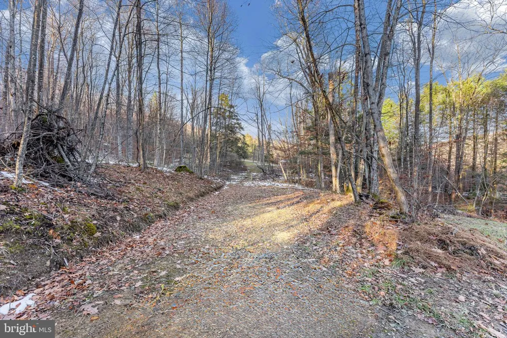 1012 CANNON SETTLEMENT ROAD Parsons, WV 26287