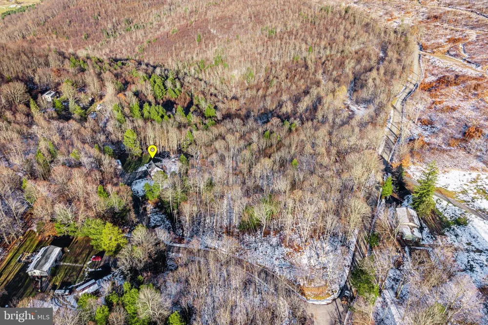 1012 CANNON SETTLEMENT ROAD Parsons, WV 26287