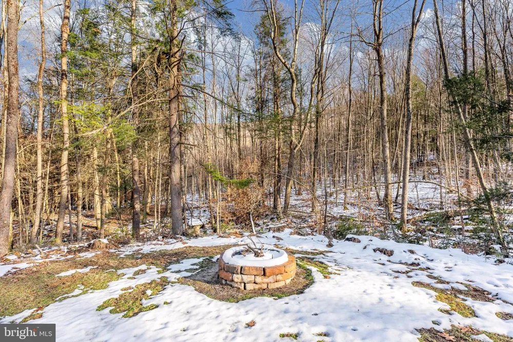 1012 CANNON SETTLEMENT ROAD Parsons, WV 26287