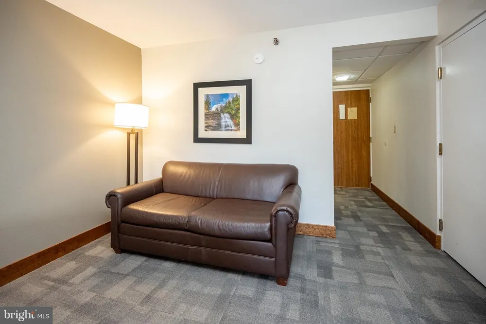 290 MARSH HILL ROAD #319C Mc Henry, MD 21541