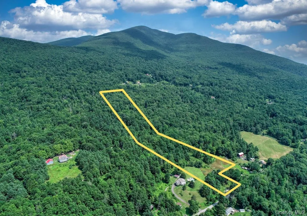 252 Upper Samsonville Road Olivebridge, NY 12461