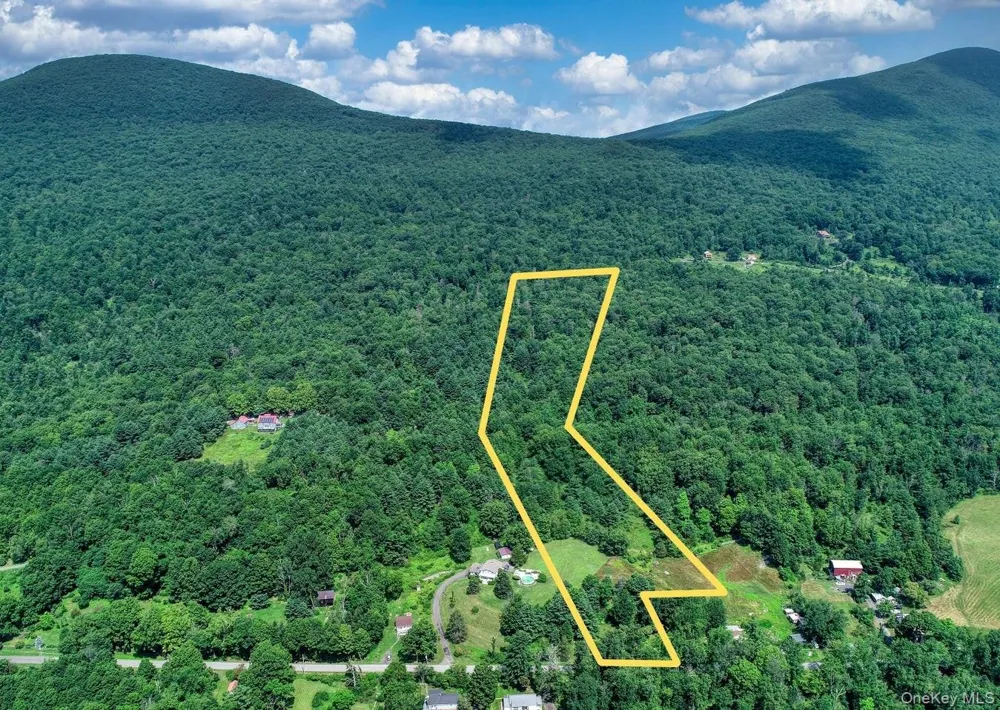 252 Upper Samsonville Road Olivebridge, NY 12461
