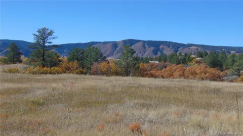 4771 Jackson Creek Road