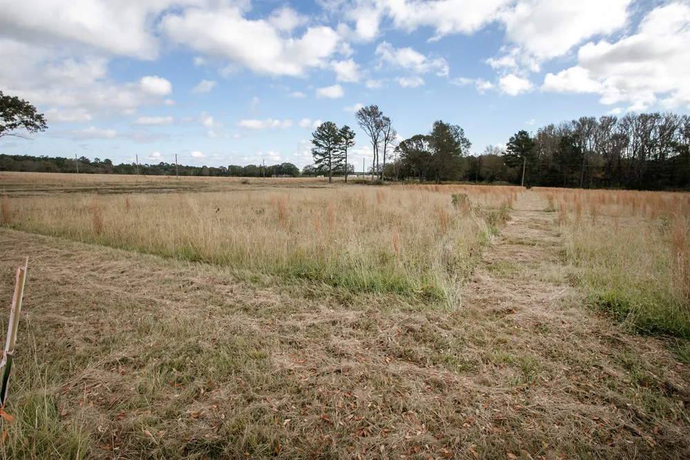 FM 1892 Frankston, TX 75763